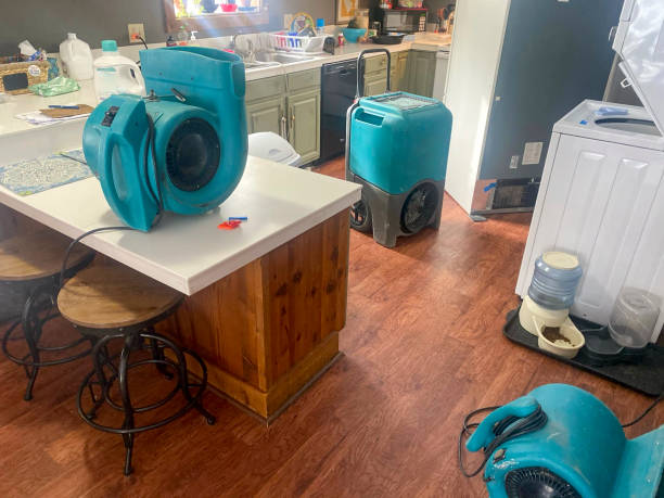 Best Water damage restoration near me  in River Road, WA