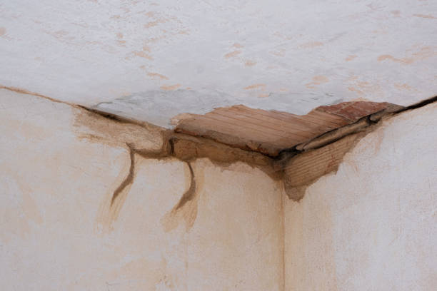 Best Carpet water damage restoration  in River Road, WA