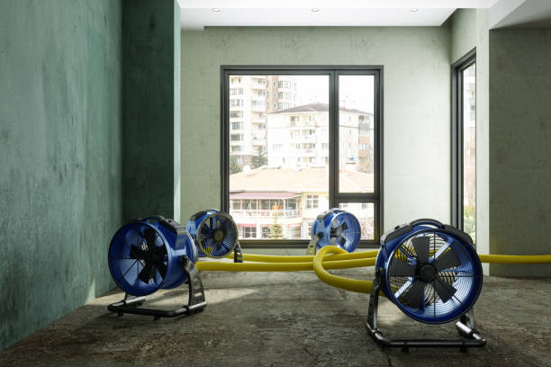Best Carpet water damage restoration  in River Road, WA