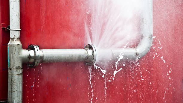Best Water damage repair service  in River Road, WA
